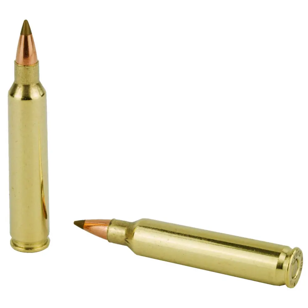 REMINGTON PRA204B 204 RUGER 40GR ACCUTIP-V BT 20 RD/BX 10 BX/CS - Image 3