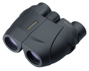 LEU BINO ROGUE COMP 10X25 BLK