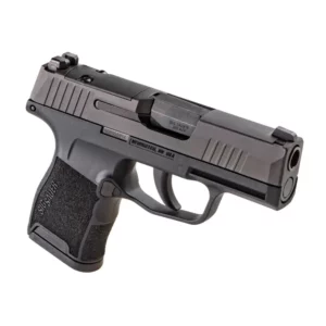 SIG SAUER P365 380ACP PSTL BLK NIGHT SIGHTS 2-10RD MAGS