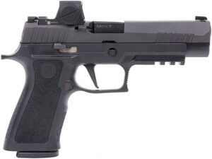SIG P320XF RXX NIT 9MM 17R NS