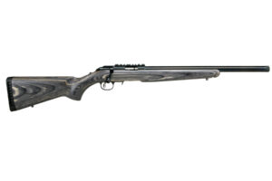 RUG AM RFL RF TGT 22LR 10RD