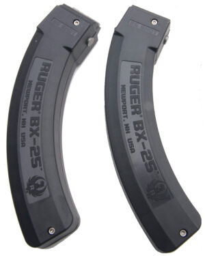 RUG MAG 10/22 22LR 25RD 2-PACK