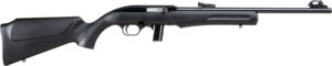 BRZ ROSSI RS22 22LR RFL 18B 10
